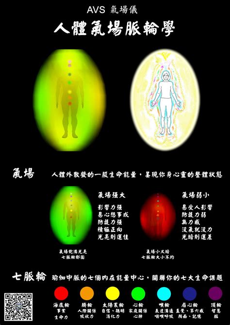 氣場脈輪檢測儀|脈輪能量測試及分析服務 (付送芳療油)